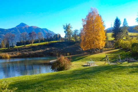 Foto Herbstfoto am Reitdorfer See